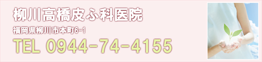 柳川高橋皮ふ科医院 福岡県柳川市本町6-1 0944-74-4155
